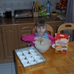 sam_2245