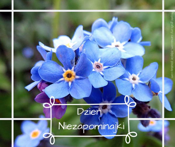 347254985_756582339492731_873717625078698087_n